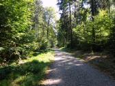  Blick auf die Wanderstrecke 